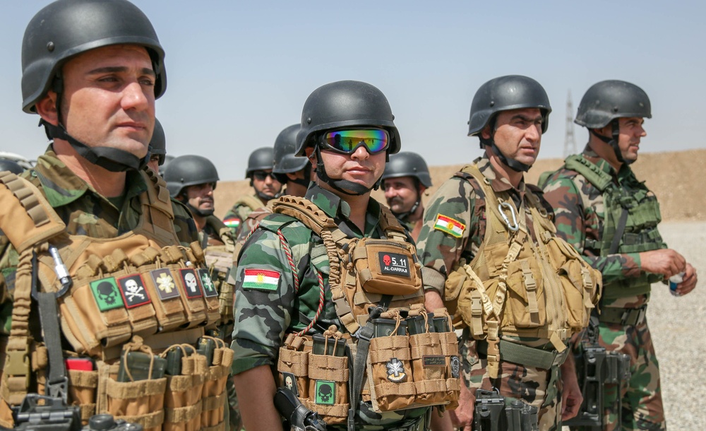 Peshmerga soldiers stand in formation