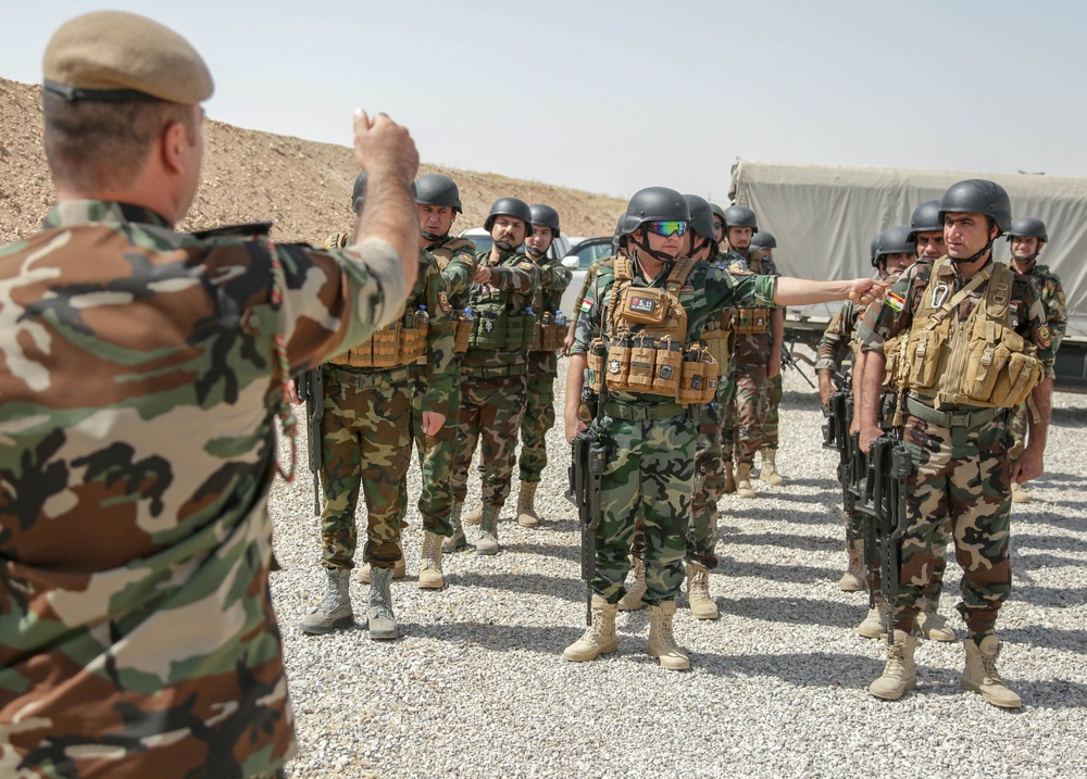 Peshmerga soldiers stand in formation