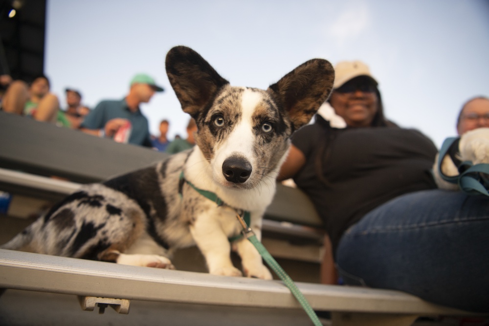 4th Combat Camera Supports Charleston Riverdogs Game