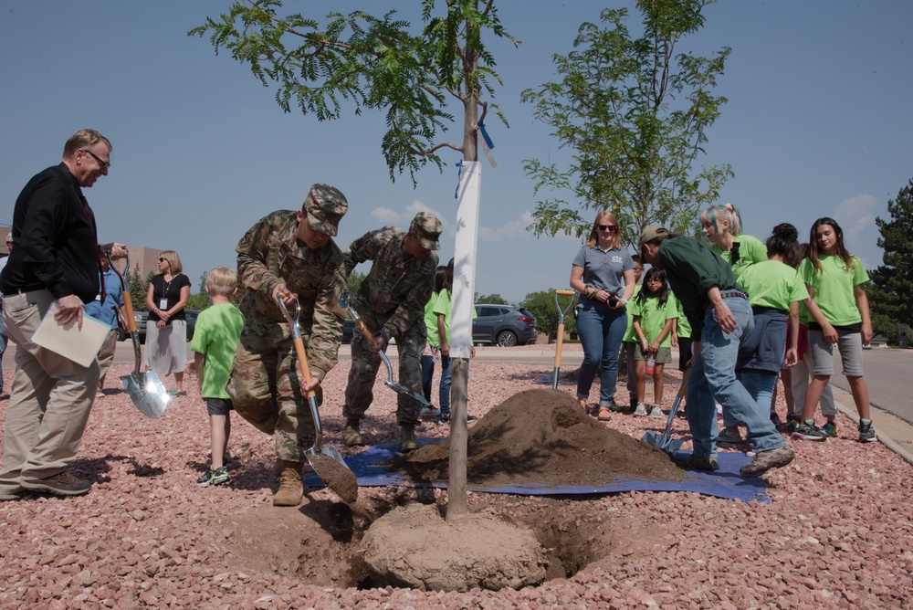 Peterson AFB receives Tree City USA award