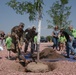 Peterson AFB receives Tree City USA award
