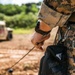 Fire in the Hole! | Marines with 3d MLG conduct EOD Operations