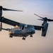 USS Lewis B. Puller Conducts Flight Ops With Task Force 51/5