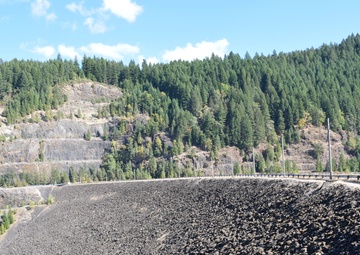 That sounds fishy: fish ladders at high-head dams impractical, largely unneeded