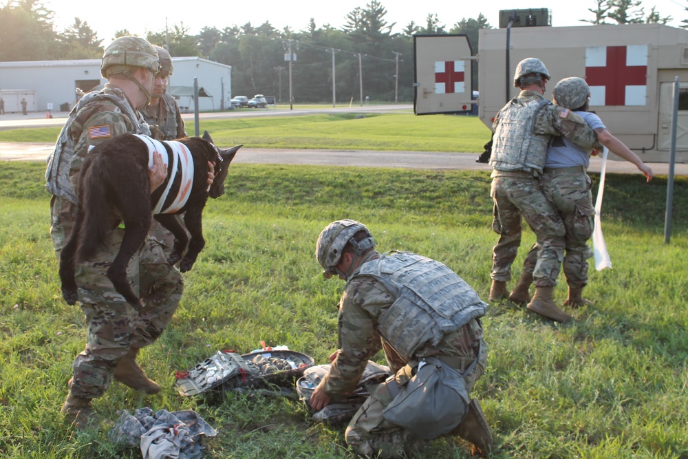 Army Reserve medics treat simulated casualties at Regional Medic