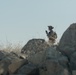 Alpha Company, BLT 1/1, Company-Level Attack Range