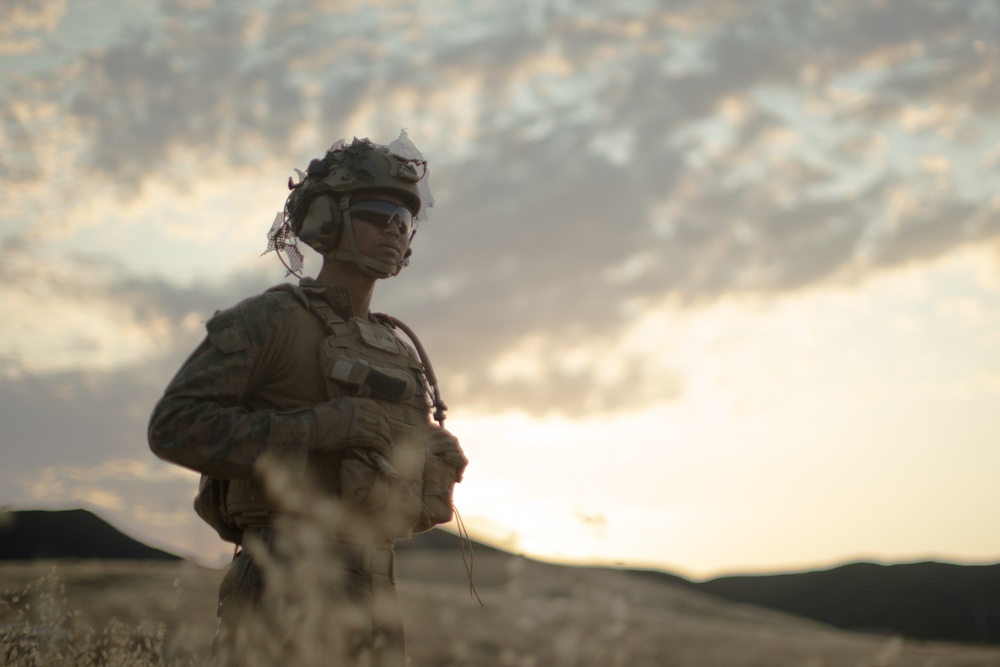 Alpha Company, BLT 1/1, Company-Level Attack Range