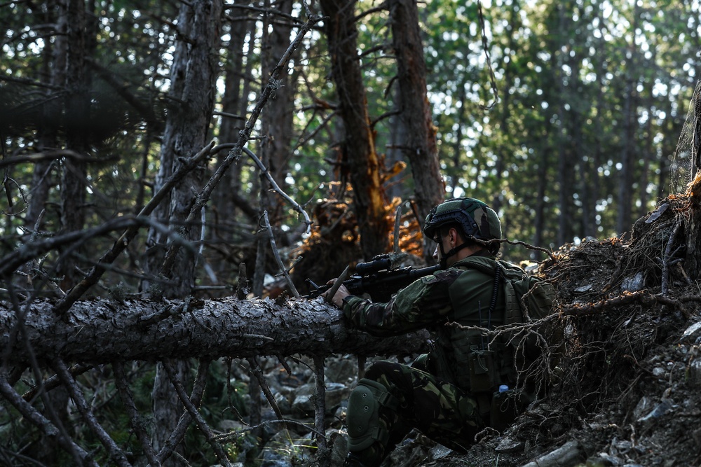 JCET Serbian SAJ and Green Berets