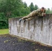 Sgt. Stanley Thompson vaults over an obstacle