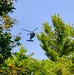 Black Hawk training operations at Fort McCoy