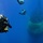 Naval Special Warfare Command Conducts Dive Operations with USS North Carolina