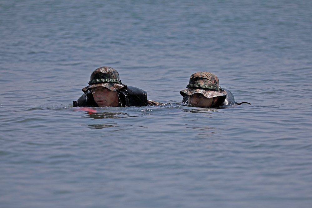 Beach insertion | Charlie Company, 1st Bn., 5th Marines trains to take the beach