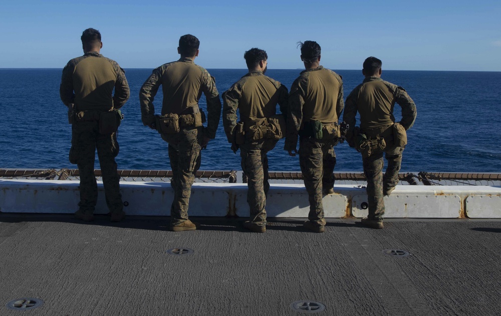 Force Reconnaissance Platoon Executes Fast Rope Drills