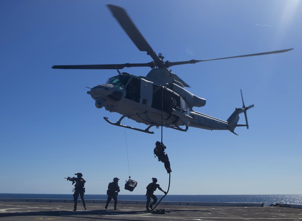 Force Reconnaissance Platoon Executes Fast Rope Drills