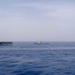 Ronald Reagan Strike Group and Iwo Jima Expeditionary Strike Group conduct trilateral operations with the UK and Dutch Naval Forces assigned to Carrier Strike Group 21 in the Gulf of Aden