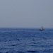 Ronald Reagan Strike Group and Iwo Jima Expeditionary Strike Group conduct trilateral operations with the UK and Dutch Naval Forces assigned to Carrier Strike Group 21 in the Gulf of Aden