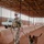 AB 201: Security Forces