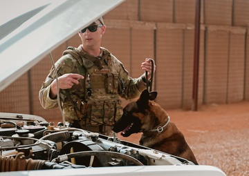 AB 201: Security Forces