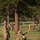 National Best Warrior Competition 2021 National Best Warrior Competition 2021