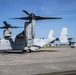 V-22 Osprey and C-146 Wolfhound aircraft staged on MCAS Iwakuni