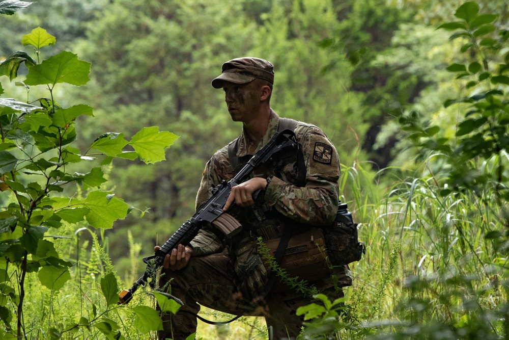 DVIDS News a hidden challenge, 5th Regiment, Advanced