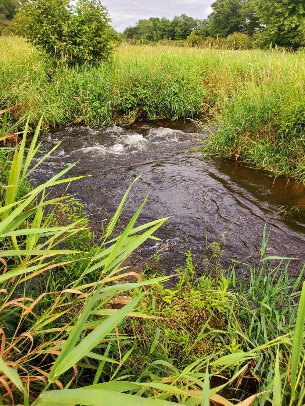 Tarr Creek at Fort McCoy