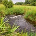 Tarr Creek at Fort McCoy