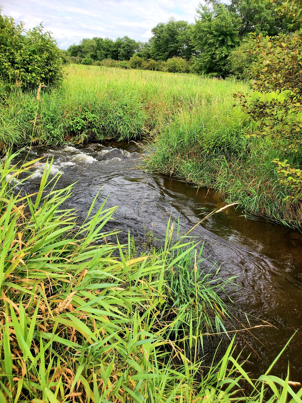 Tarr Creek at Fort McCoy