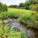 Tarr Creek at Fort McCoy