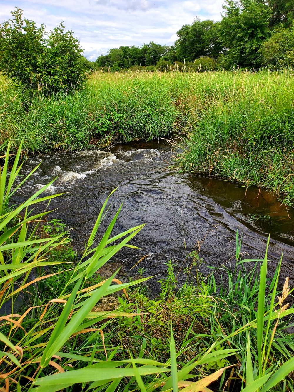 Tarr Creek at Fort McCoy