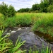 Tarr Creek at Fort McCoy