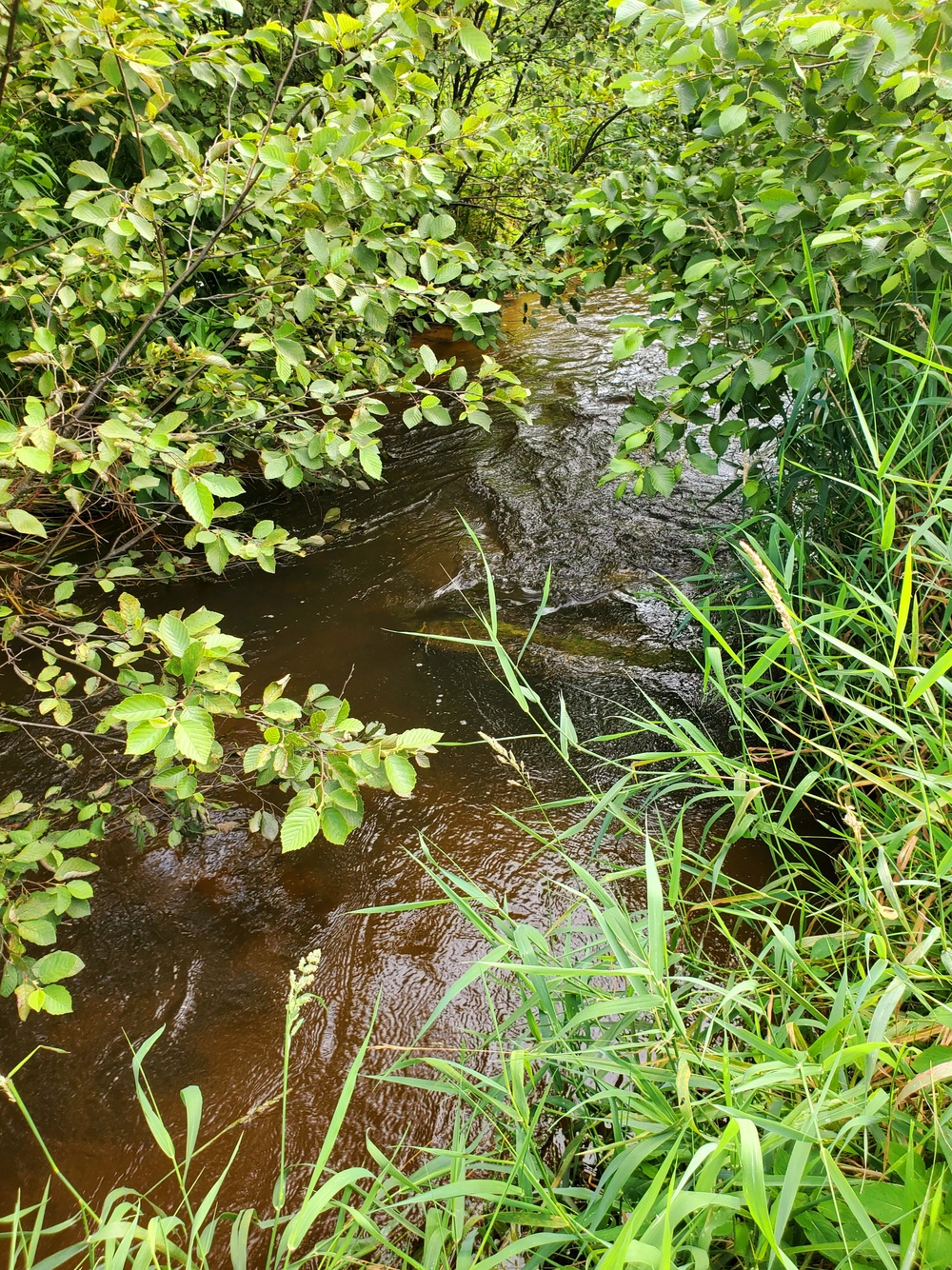 Tarr Creek at Fort McCoy