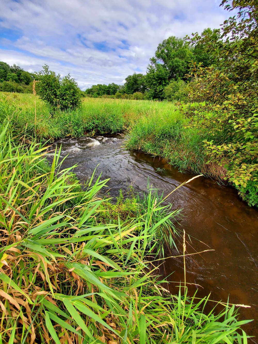 Tarr Creek at Fort McCoy