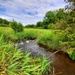 Tarr Creek at Fort McCoy