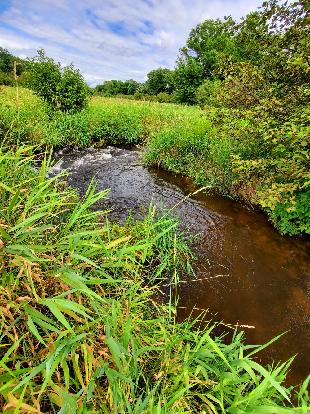 Tarr Creek at Fort McCoy