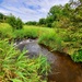 Tarr Creek at Fort McCoy