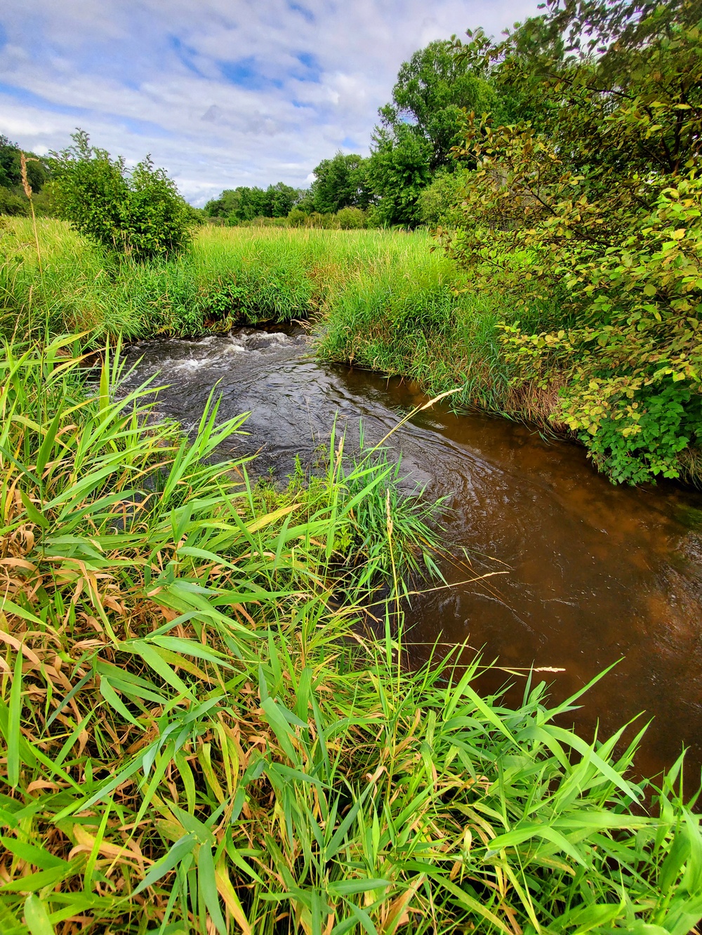 Tarr Creek at Fort McCoy