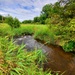 Tarr Creek at Fort McCoy