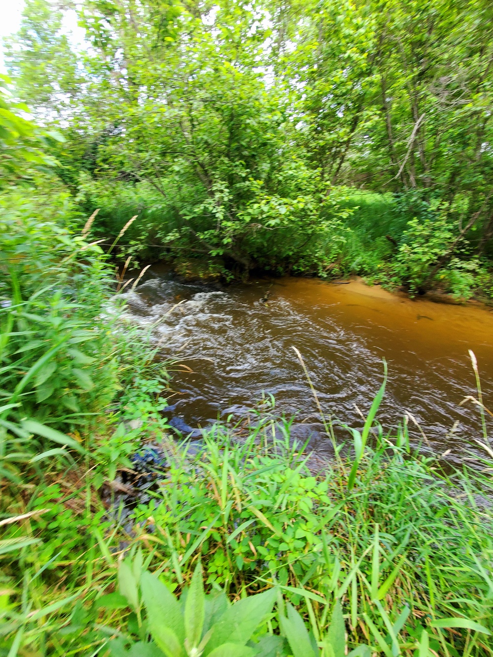 Tarr Creek at Fort McCoy