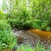 Tarr Creek at Fort McCoy