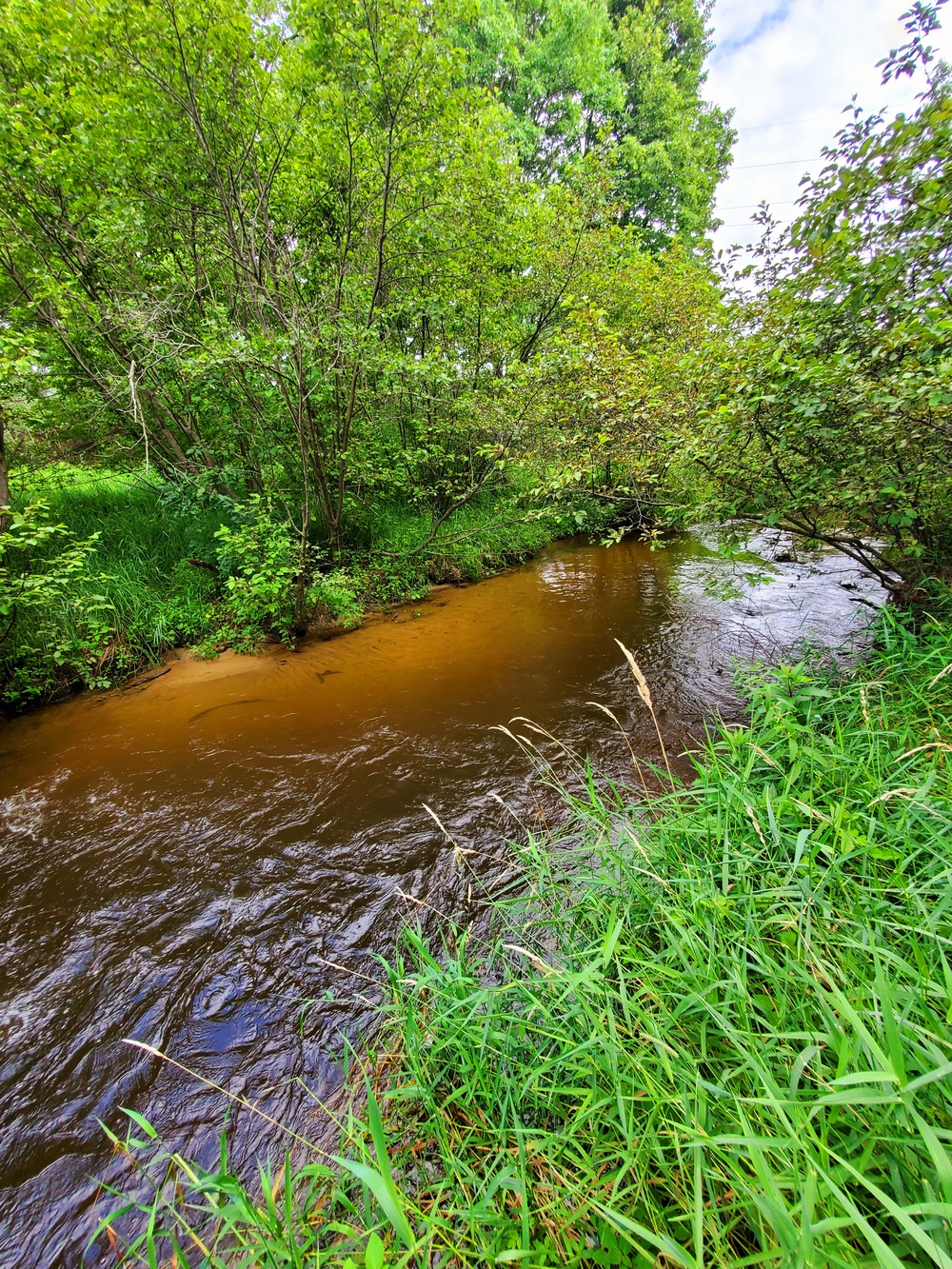 Tarr Creek at Fort McCoy