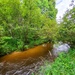 Tarr Creek at Fort McCoy