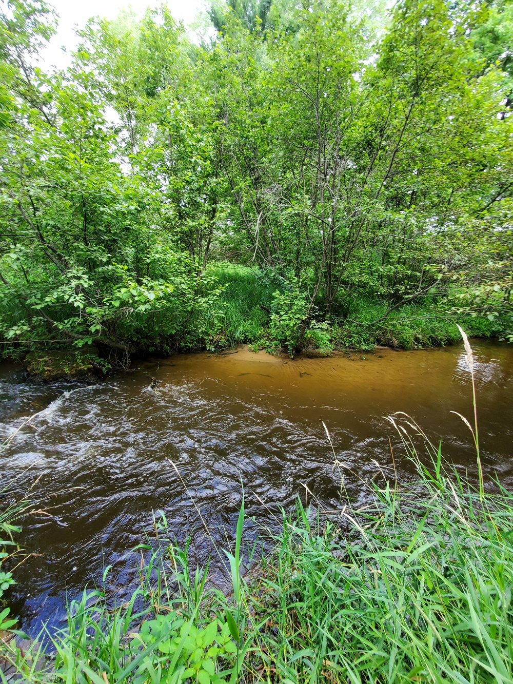 Tarr Creek at Fort McCoy