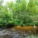 Tarr Creek at Fort McCoy