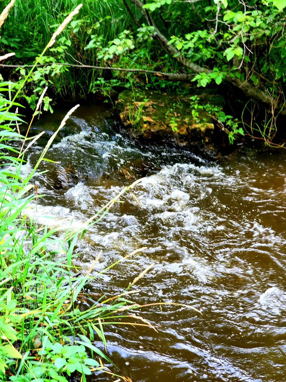 Tarr Creek at Fort McCoy