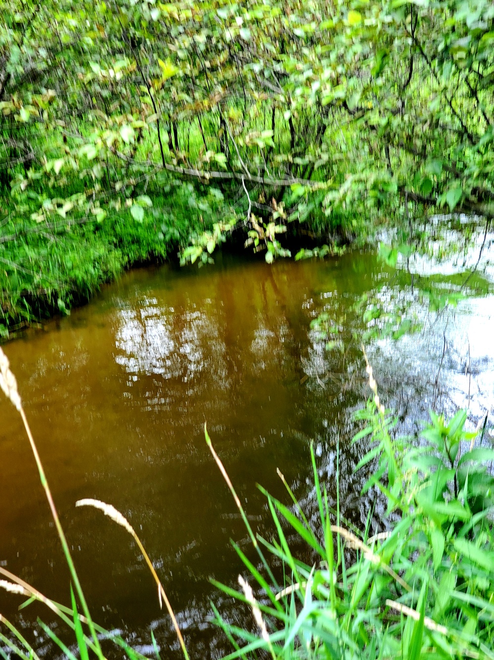 Tarr Creek at Fort McCoy