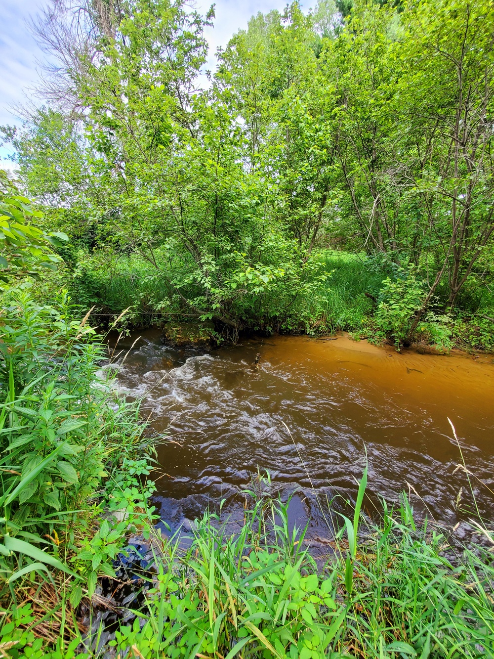 Tarr Creek at Fort McCoy