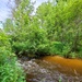 Tarr Creek at Fort McCoy