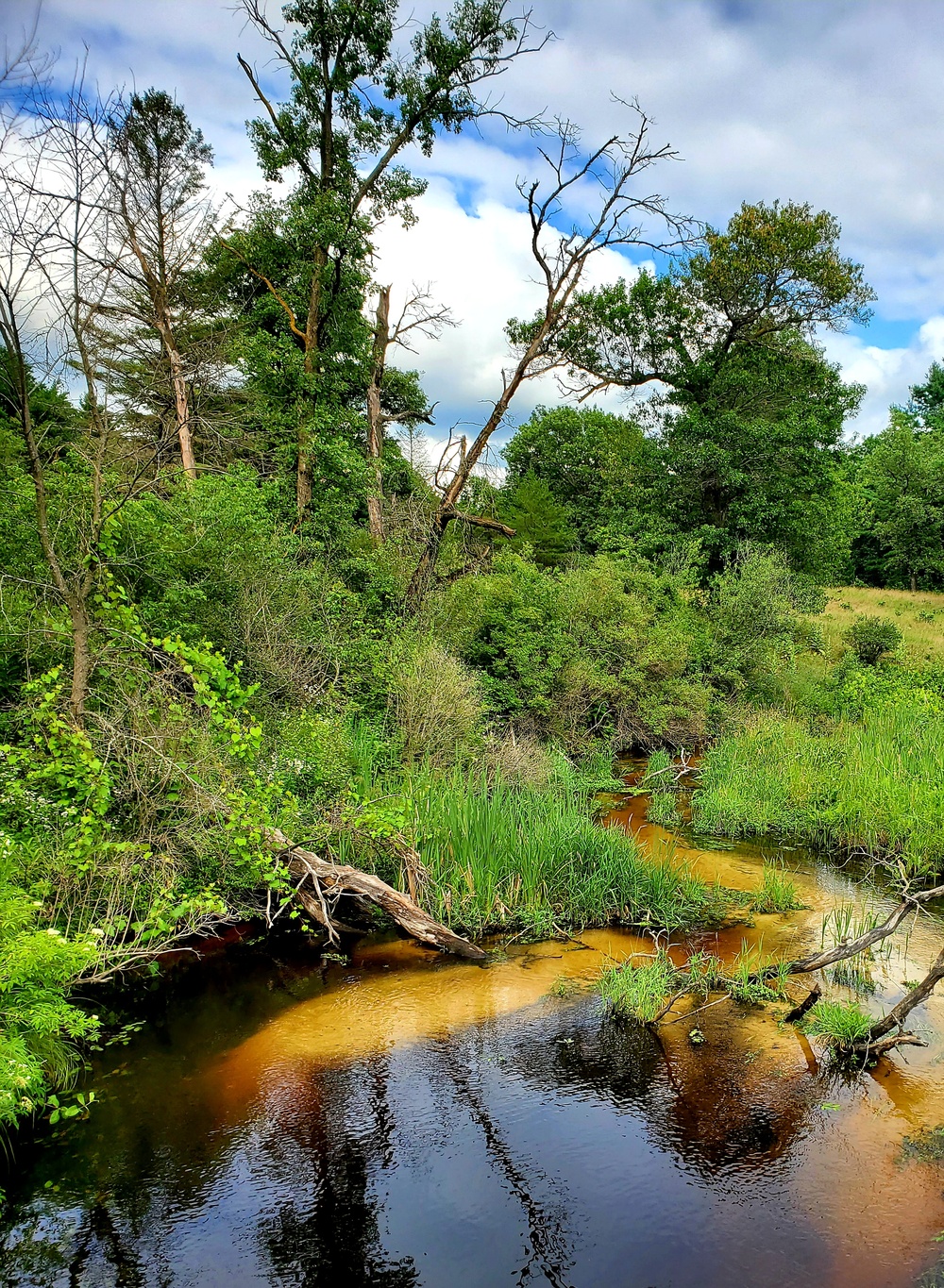 Tarr Creek at Fort McCoy