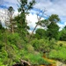 Tarr Creek at Fort McCoy